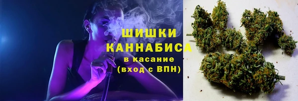 прущая мука Богданович