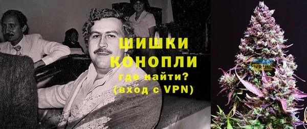МДПВ Богородицк