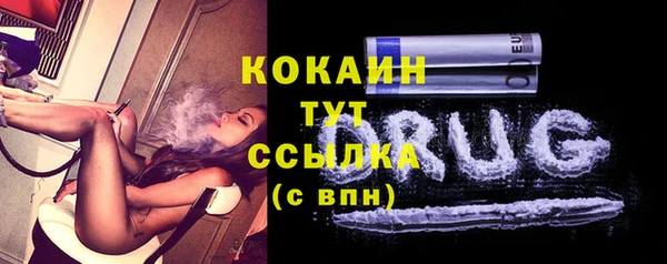 МДПВ Богородицк