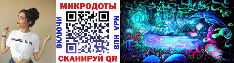 Псилоцибиновые грибы мухоморы  Заволжье 
