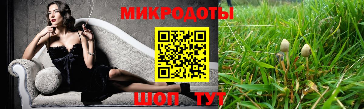 Псилоцибиновые грибы Magic Shrooms Заволжье