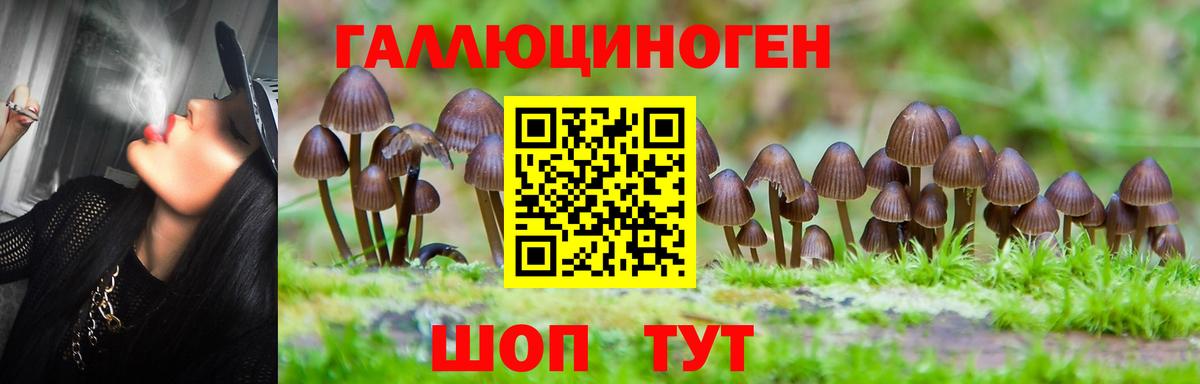 купить наркоту  Вход с VPN  Заволжье  Псилоцибиновые грибы Cubensis 